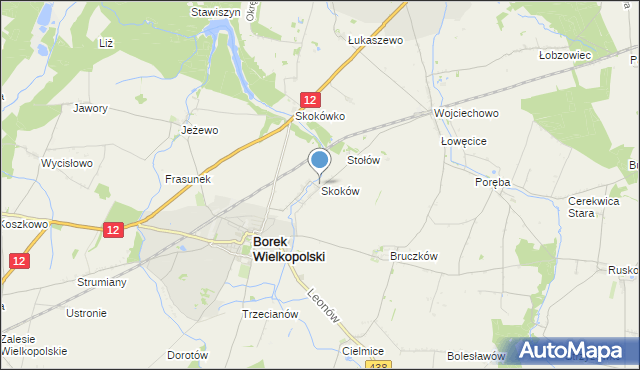 mapa Skoków, Skoków gmina Borek Wielkopolski na mapie Targeo